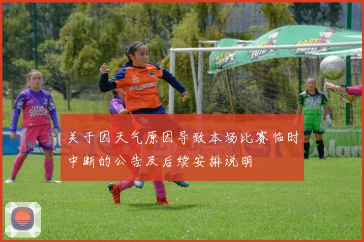关于因天气原因导致本场比赛临时中断的公告及后续安排说明